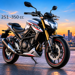 3. 251 to 350 CC