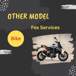 Other Model