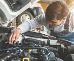 Fault Inspection